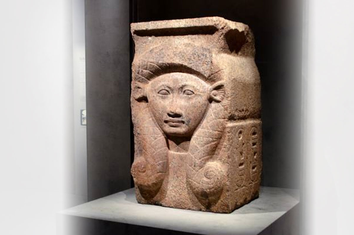 Chau Chak Wing Museum