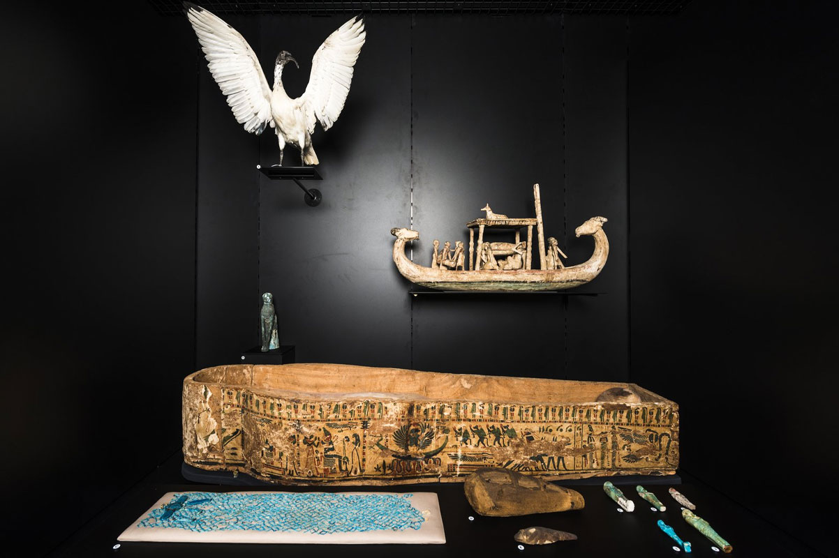 Australian Museum