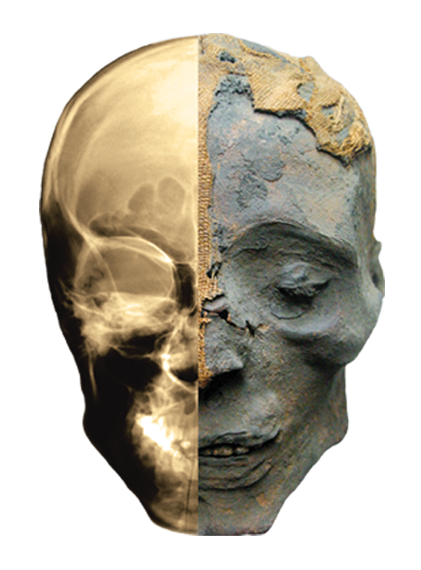 * Mummies of the World: The Exhibition