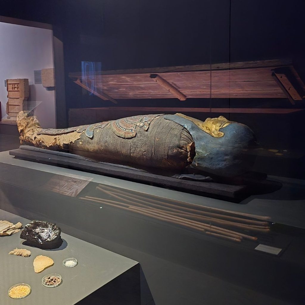 * Interims-Ausstellung