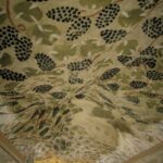 Lezing "Wat vertellen afbeeldingen in elitegraven over de wijnbouw in Egypte in de verschillende dynastieën?"