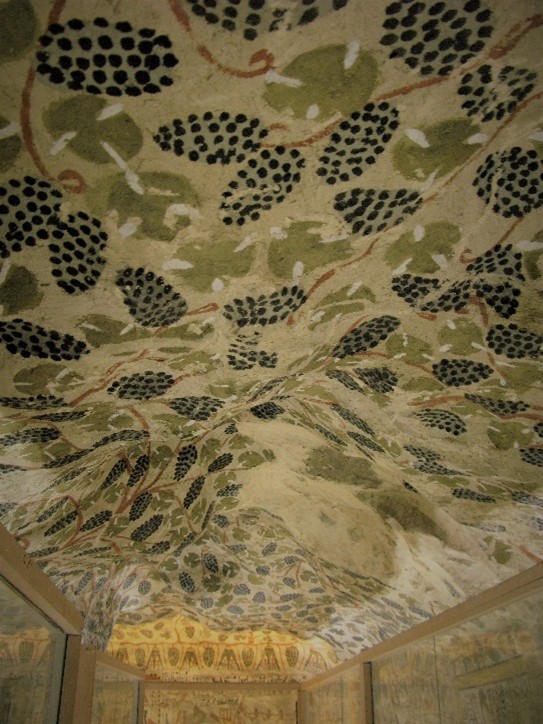 Lezing "Wat vertellen afbeeldingen in elitegraven over de wijnbouw in Egypte in de verschillende dynastieën?"