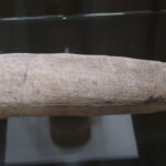 Dierenmummie Mysteries